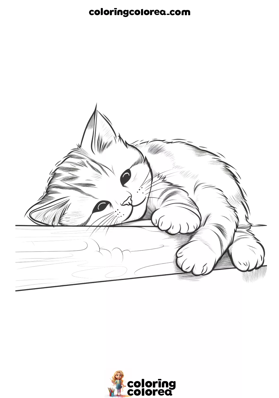 Puppy kitten