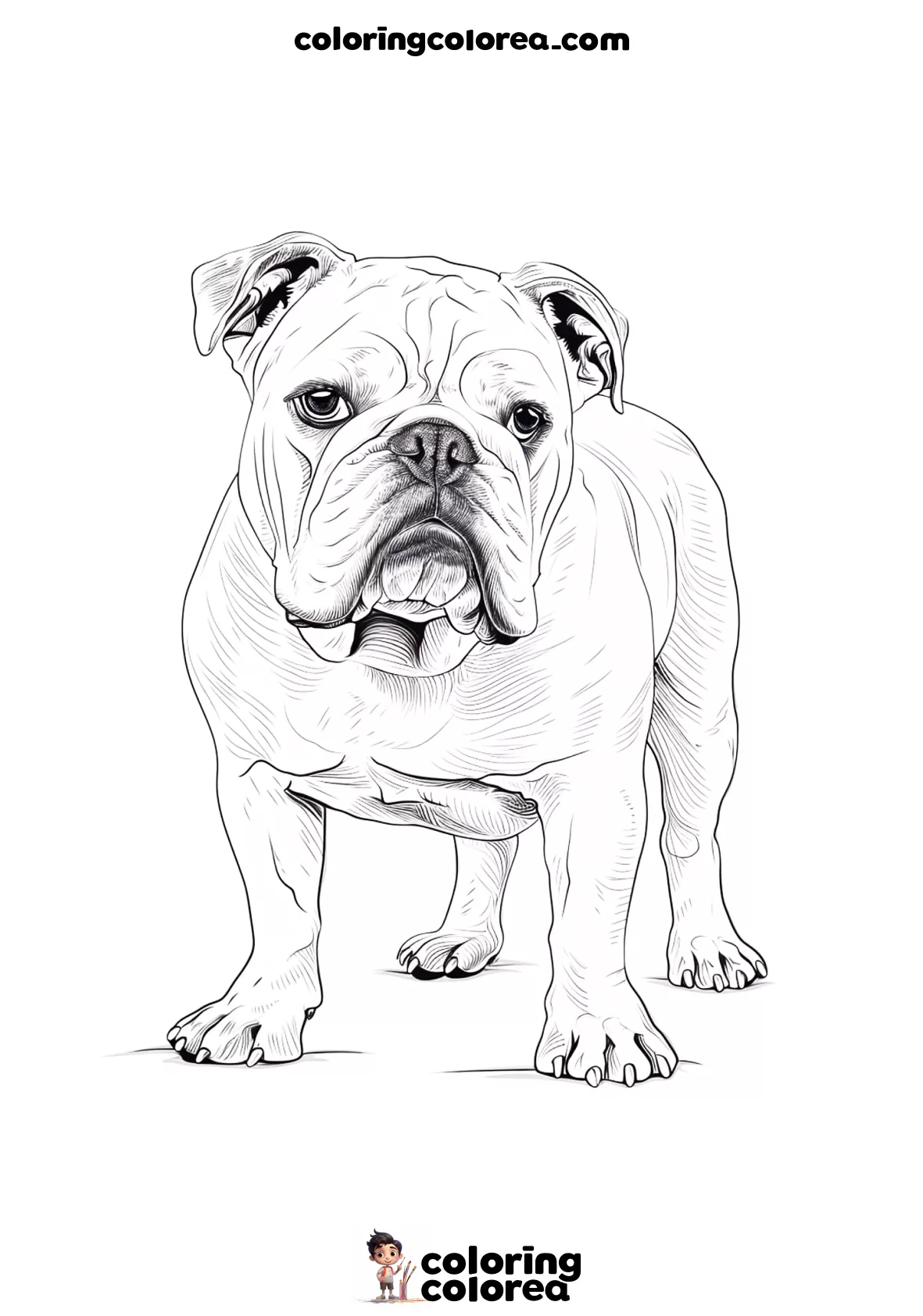 Bulldog