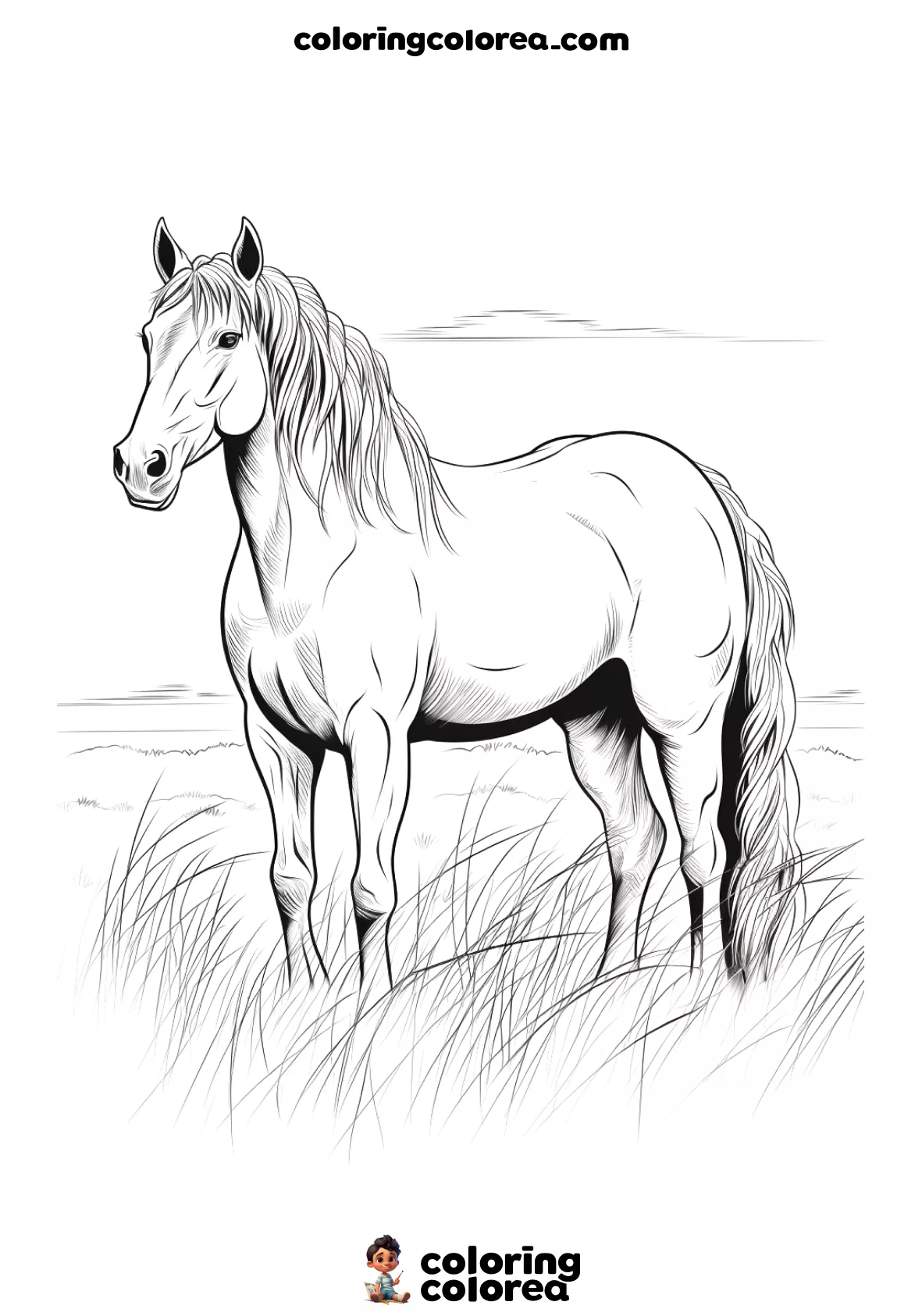Horse