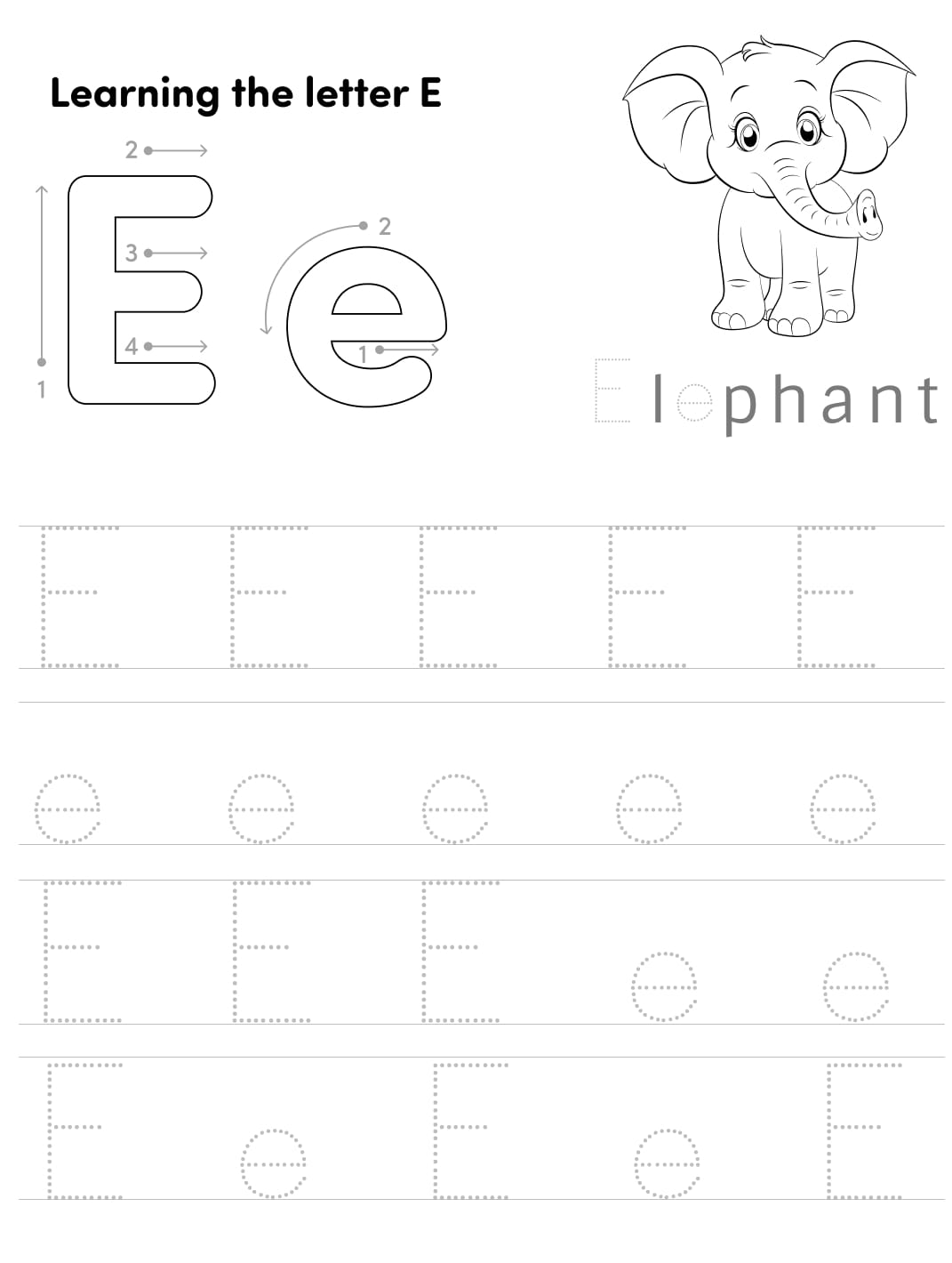 Educational factsheet. We learn the letter E