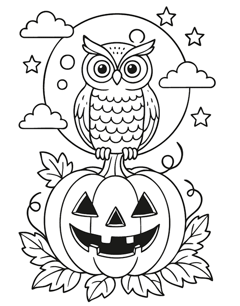 Dibujo para colorear de un búho sobre la calabaza de Halloween